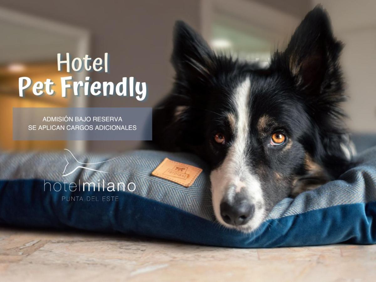 Hotel Milano Punta del Este Ngoại thất bức ảnh